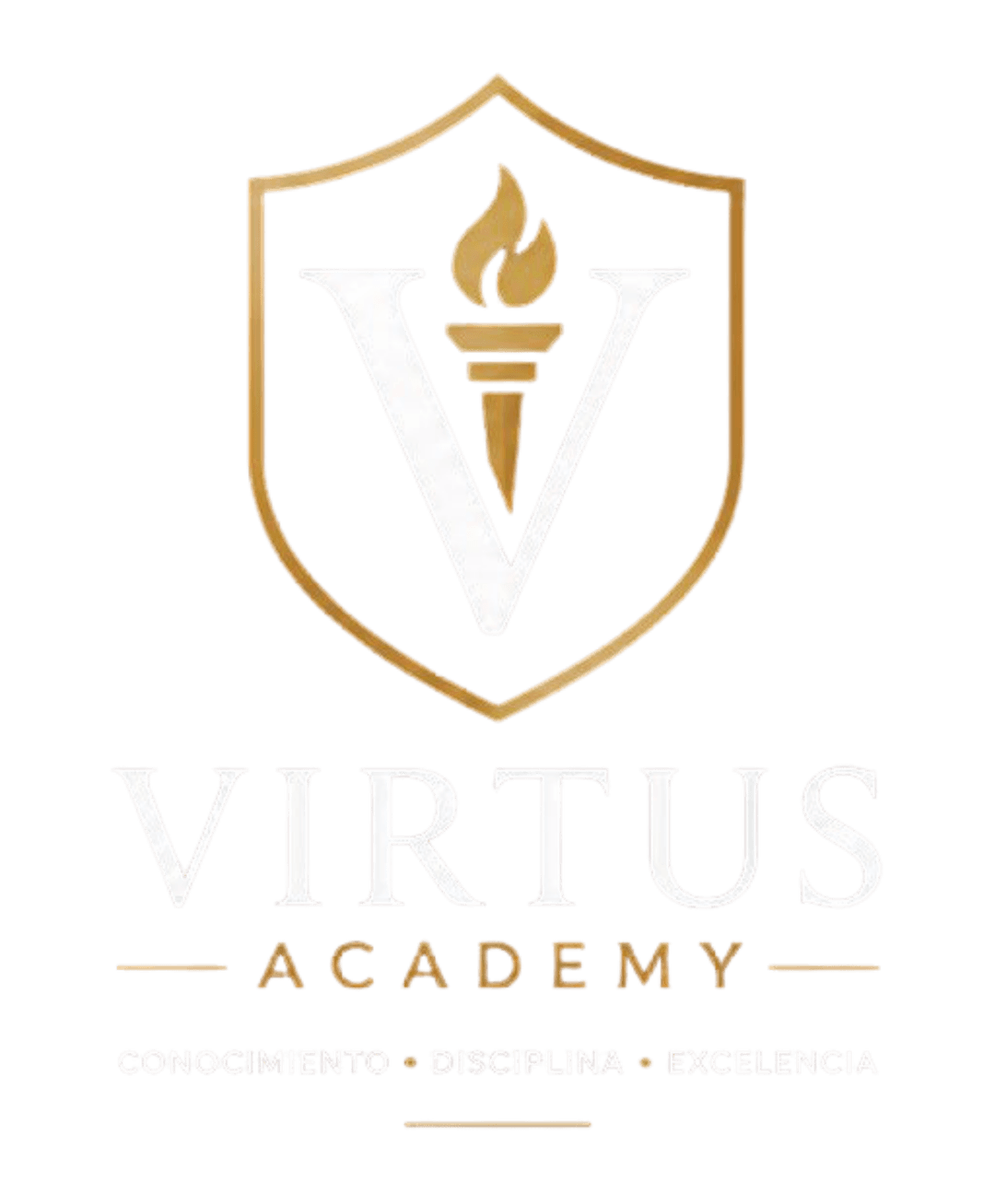Virtus Academy